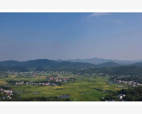 吃梭子蟹，告别寒冬，暖身保健，中医科普，让你健康过冬