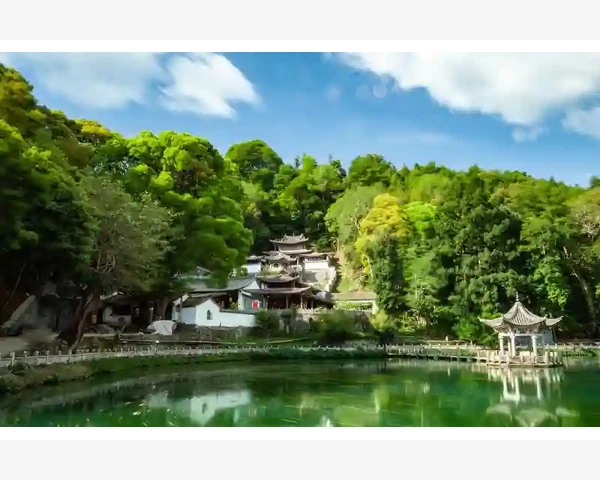 吃梨，缓解化痰，中医告诉你秘密！