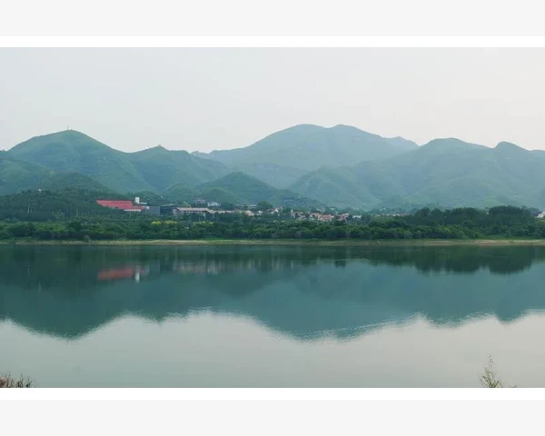 为什么肠胃炎一只拉稀