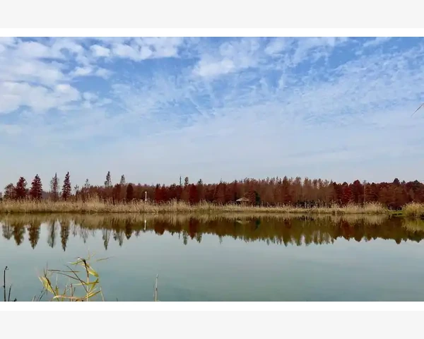调脾胃养气血：简单实用的中医调理方案