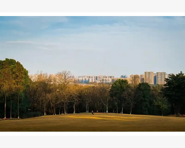 儿童健脾胃饮食菜谱全攻略，美味又健康！